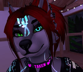 Sasha&#39;s Furry